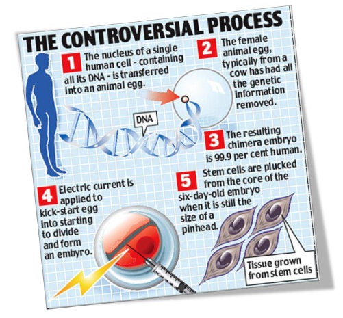 Human Cloning